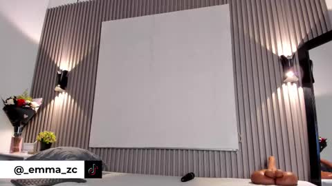 Snapshot of emmazc_ chatting on October 2025 08:19:02 PM emmazc_ online show from October 2025 08:19:02 PM