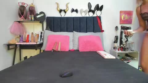          online show from April 2026 12:36:01 PM