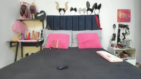          online show from April 2026 12:31:01 PM
