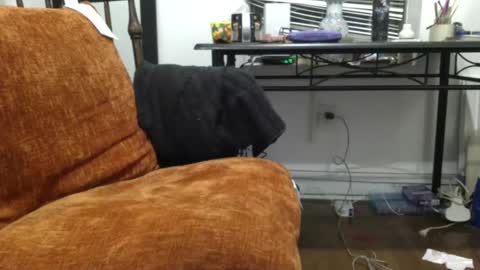 Snapshot of empusalamia chatting on January 2025 11:22:02 PM empusalamia online show from January 2025 11:22:02 PM