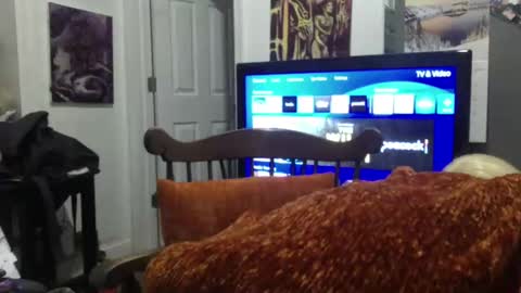 Snapshot of empusalamia chatting on January 2025 09:57:02 AM empusalamia online show from January 2025 09:57:02 AM