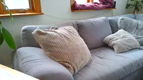 emyxxl online show from January 2026 01:46:02 PM