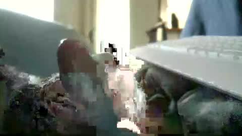 encormoi online show from November 2025 08:47:02 AM