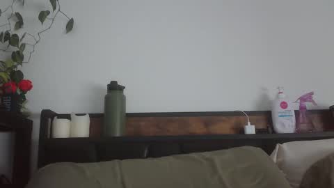 Snapshot of endlesslyevie chatting on February 2025 08:59:02 PM endlessly evie online show from February 2025 08:59:02 PM