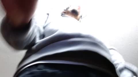 erick online show from February 2025 03:01:02 AM