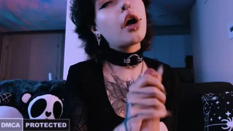 Rainbow on your spoon online show from February 2026 03:00:02 AM