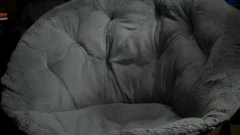 Erik plays hockey online show from November 2025 10:21:01 PM