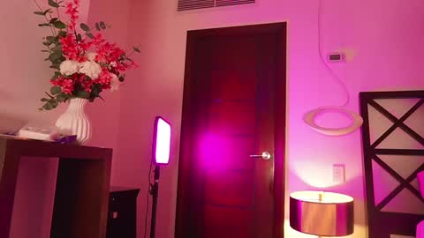 Snapshot of erikabee chatting on September 2025 08:12:02 PM Venus Skye online show from September 2025 08:12:02 PM