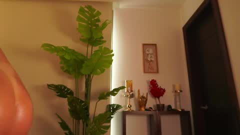 Venus Skye online show from June 2026 08:14:02 PM