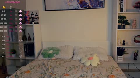 Sofia online show from December 2024 10:50:02 AM