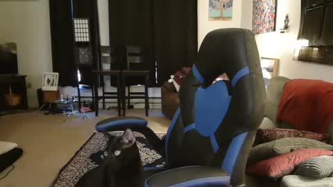 Snapshot of eroticsiren2 chatting on February 2025 09:18:02 PM EroticSiren2 online show from February 2025 09:18:02 PM