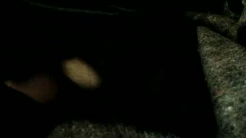 Snapshot of estelarseiya chatting on January 2025 03:18:02 AM estelarseiya online show from January 2025 03:18:02 AM