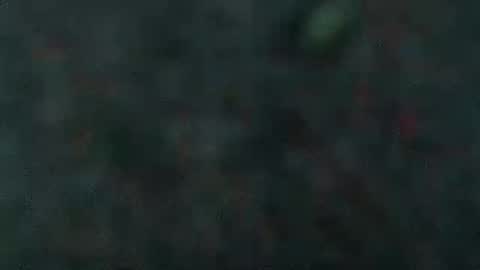 Snapshot of estelarseiya chatting on February 2025 07:07:02 AM estelarseiya online show from February 2025 07:07:02 AM