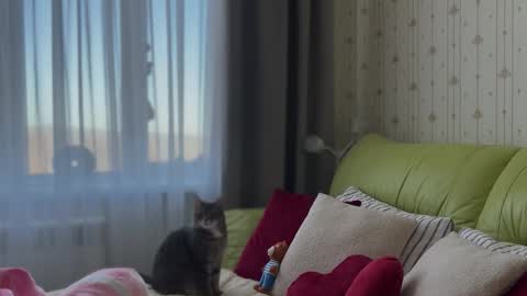 Snapshot of estella_elwood chatting on February 2026 06:22:01 AM Estella online show from February 2026 06:22:01 AM