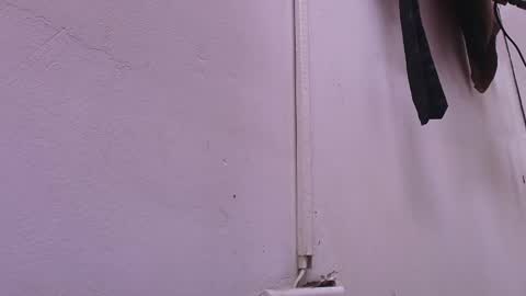 Estrella online show from February 2025 11:57:02 AM