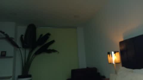 Snapshot of ethan_skiny_ chatting on December 2025 07:35:01 AM Joan online show from December 2025 07:35:01 AM