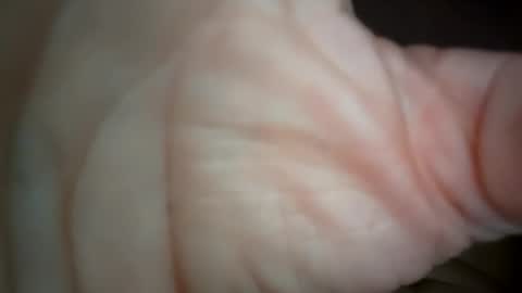 ethereumumm online show from October 2025 06:31:01 PM