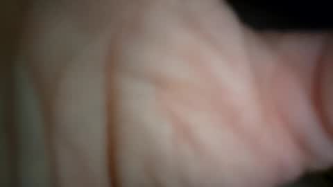 ethereumumm online show from November 2025 11:31:01 AM