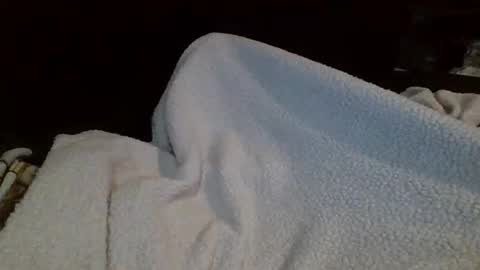 Snapshot of eu369033 chatting on February 2026 08:07:01 PM eu369033 online show from February 2026 08:07:01 PM