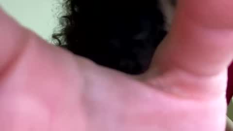 Snapshot of eulilah222 chatting on September 2025 03:41:02 AM eulilah222 online show from September 2025 03:41:02 AM