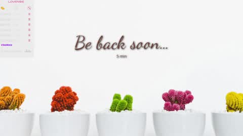 Snapshot of eva__si chatting on December 2024 07:56:02 AM Eva online show from December 2024 07:56:02 AM