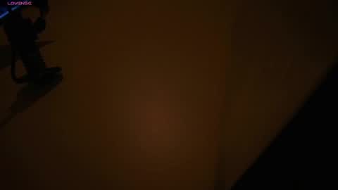 Snapshot of eva_and_marcelo chatting on March 2025 11:58:02 PM E Y EO online show from March 2025 11:58:02 PM