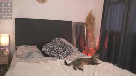 evajacksss_ online show from February 2026 09:21:01 PM