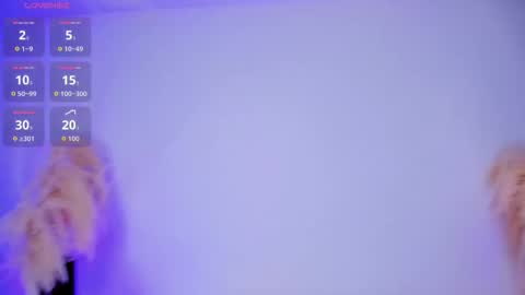 E V A N S online show from October 2025 08:52:02 PM