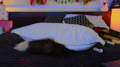 Snapshot of evasabor chatting on December 2024 04:25:01 AM Eva online show from December 2024 04:25:01 AM