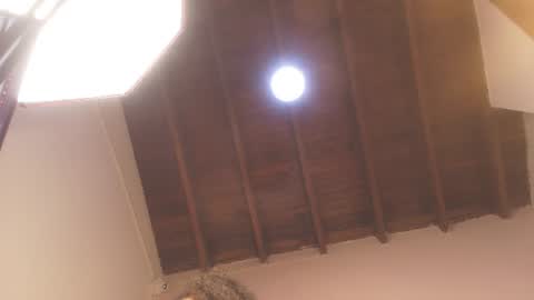 DAYANITA online show from June 2026 07:02:02 PM
