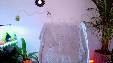 Snapshot of evelyn_chelle chatting on May 2026 04:56:02 PM Im Eve or Chelle Next Stream 191224 online show from May 2026 04:56:02 PM