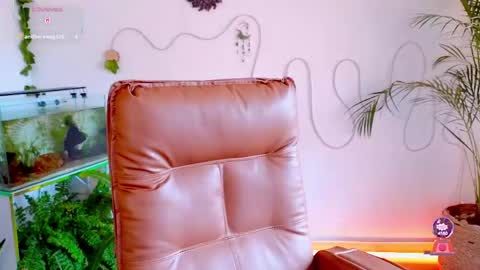 Snapshot of evelyn_chelle chatting on May 2026 06:37:01 PM Im Eve or Chelle Next Stream 191224 online show from May 2026 06:37:01 PM
