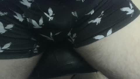 evolite_ online show from December 2024 06:42:02 PM