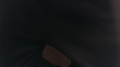 evolite_ online show from February 2025 05:36:02 AM