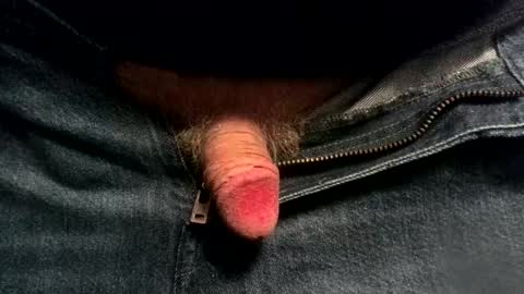 evolite_ online show from November 2025 06:13:01 AM