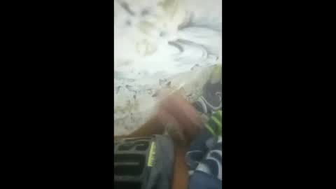 eypqrpyisagh online show from March 2026 08:26:01 PM