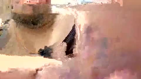 eyyoboobo0 online show from March 2026 06:12:02 PM