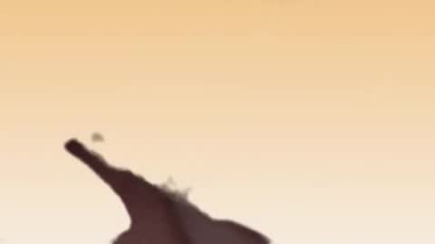 fabinou32 online show from November 2025 02:49:01 PM