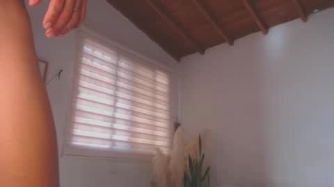 -  A N D E R online show from January 2025 08:32:01 PM