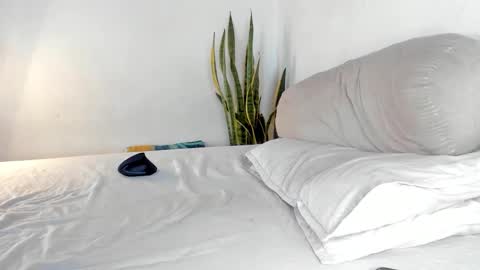 -  A N D E R online show from October 2025 02:24:02 PM