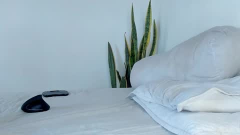 -  A N D E R online show from November 2025 02:04:01 PM