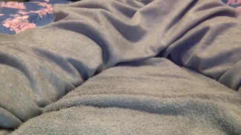 facedownassup219267 online show from January 2025 08:42:01 PM