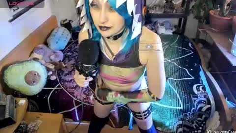 faewildflower online show from February 2026 05:00:02 AM