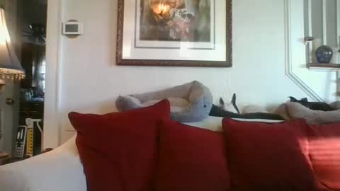 fairmount31 online show from January 2025 01:46:01 PM