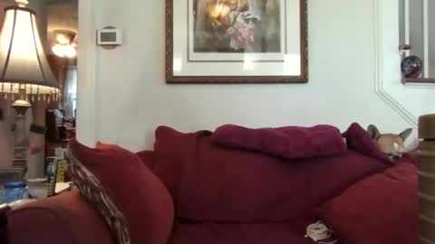 fairmount31 online show from October 2025 01:56:02 PM