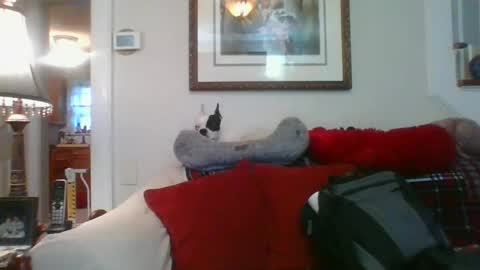 Snapshot of falconbator8 chatting on January 2025 01:27:01 PM falconbator8 online show from January 2025 01:27:01 PM
