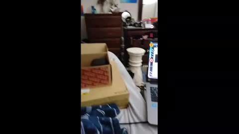 fallen_jezabel online show from November 2025 02:06:01 AM