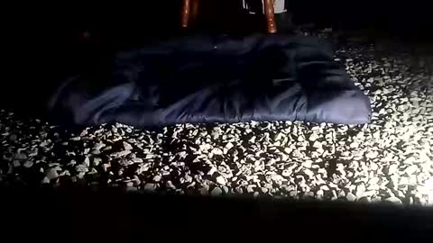 fallguyb1875150 online show from October 2025 10:12:02 AM