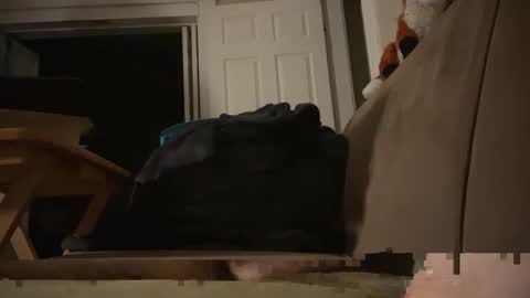 Snapshot of fangofox chatting on October 2025 05:26:02 AM Fango online show from October 2025 05:26:02 AM