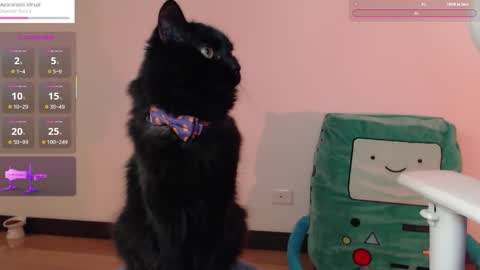 Snapshot of fantasma_gei chatting on October 2025 01:13:02 AM Fantasma. online show from October 2025 01:13:02 AM